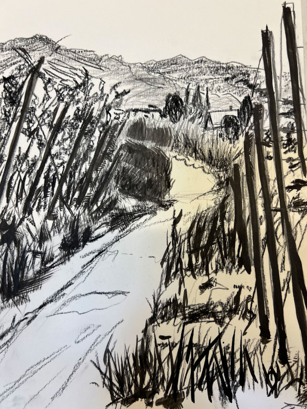 in den Reben. 21x15, Bleistift auf Karton, 2021